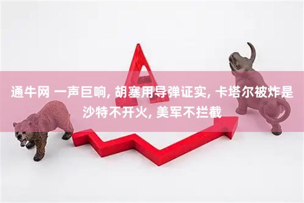 通牛网 一声巨响, 胡塞用导弹证实, 卡塔尔被炸是沙特不开火, 美军不拦截