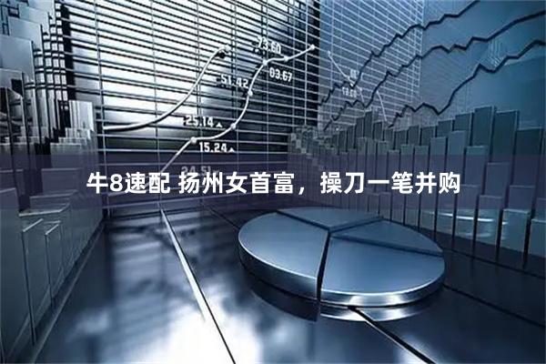 牛8速配 扬州女首富，操刀一笔并购