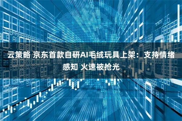 云策略 京东首款自研AI毛绒玩具上架：支持情绪感知 火速被抢光