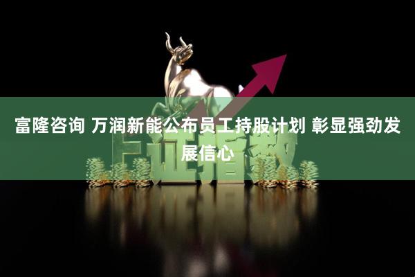 富隆咨询 万润新能公布员工持股计划 彰显强劲发展信心